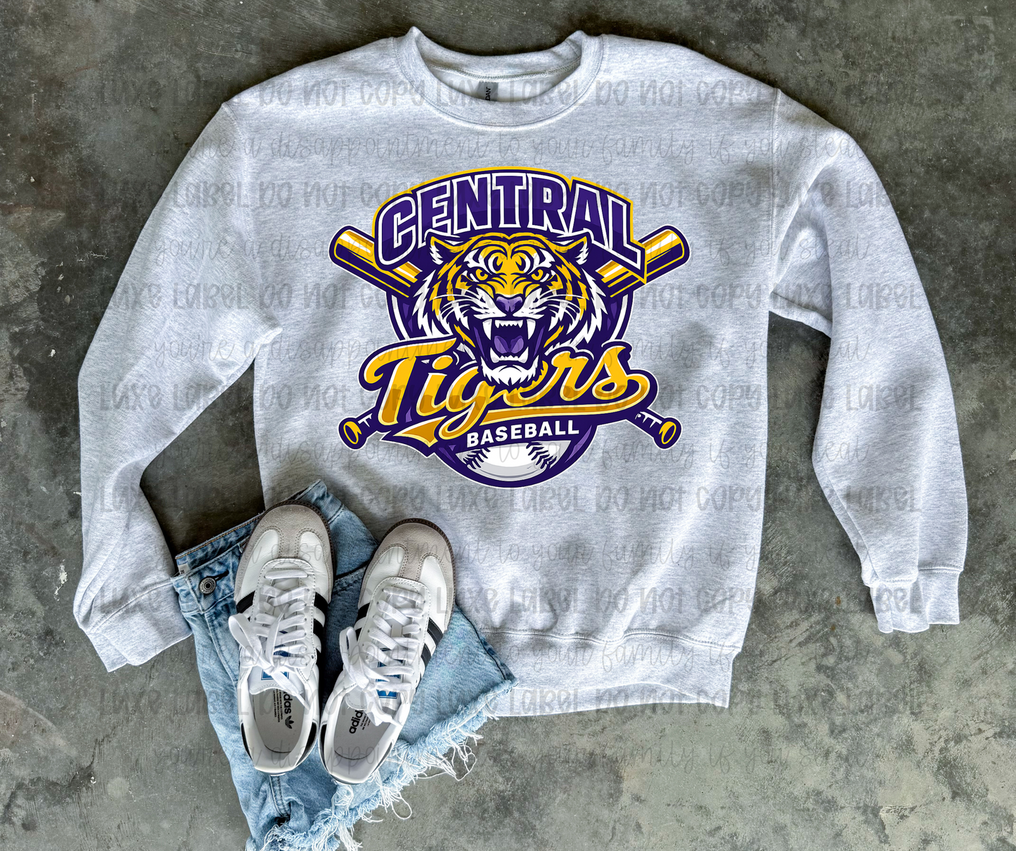 Central Tigers Baseball at Bat